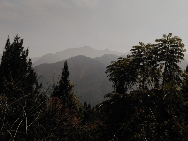 IMAG0984.jpg - 南投信義獵人古道、望美山、瓊山