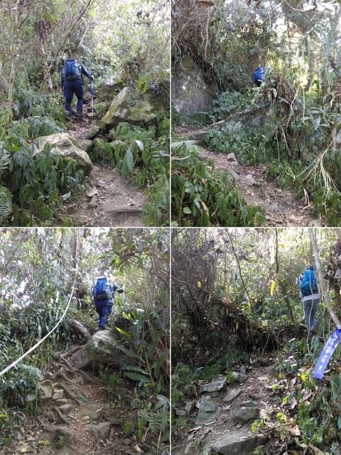 IMAG0994-97.jpg - 南投信義獵人古道、望美山、瓊山