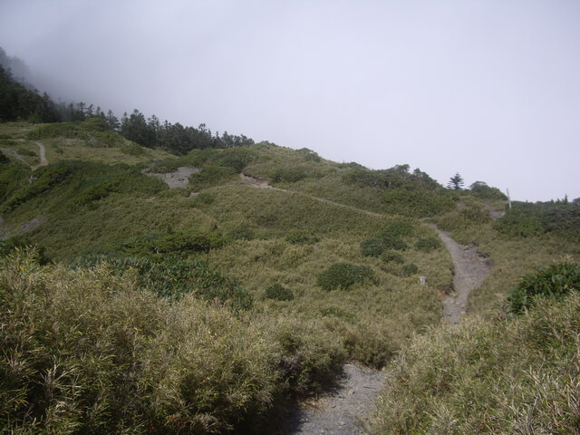 IMGP0087.JPG - 苗栗泰安大霸群峰(DAY2-大霸尖山、小霸尖山、伊澤山、加利山)