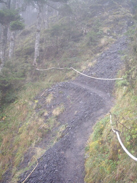 IMGP0040.JPG - 苗栗泰安大霸群峰(DAY2-大霸尖山、小霸尖山、伊澤山、加利山)