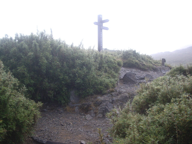 IMGP0036.JPG - 苗栗泰安大霸群峰(DAY2-大霸尖山、小霸尖山、伊澤山、加利山)