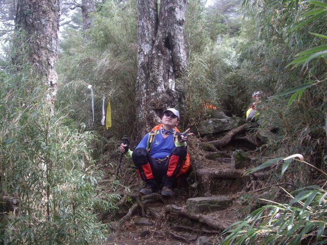 IMGP0081.JPG - 苗栗泰安大霸群峰(DAY2-大霸尖山、小霸尖山、伊澤山、加利山)