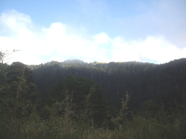 IMGP0114.JPG - 苗栗泰安大霸群峰(DAY2-大霸尖山、小霸尖山、伊澤山、加利山)