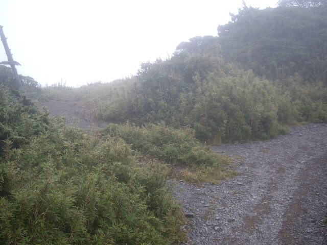 IMGP0043.JPG - 苗栗泰安大霸群峰(DAY2-大霸尖山、小霸尖山、伊澤山、加利山)