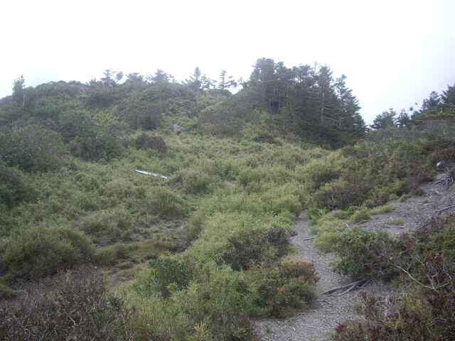 IMGP0095.JPG - 苗栗泰安大霸群峰(DAY2-大霸尖山、小霸尖山、伊澤山、加利山)