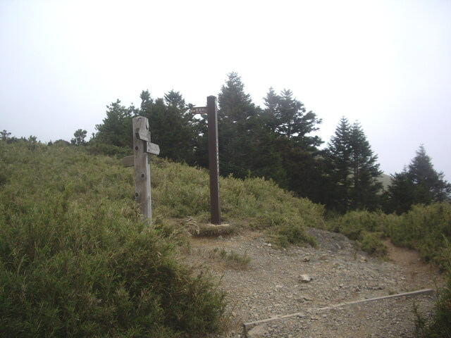 IMGP0098.JPG - 苗栗泰安大霸群峰(DAY2-大霸尖山、小霸尖山、伊澤山、加利山)