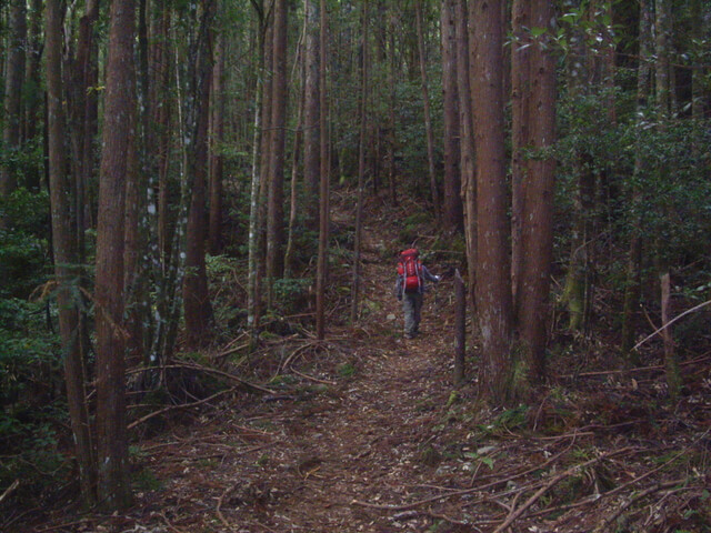 IMGP9979.JPG - 苗栗泰安大霸群峰(DAY1-九九山莊)