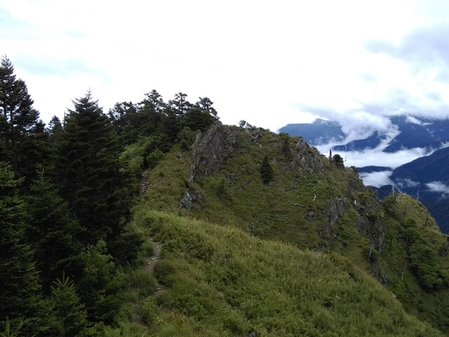 IMGP9921A.jpg - 台中和平雪山主東(DAY2－雪山主峰)