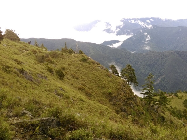 IMGP9922A.jpg - 台中和平雪山主東(DAY2－雪山主峰)