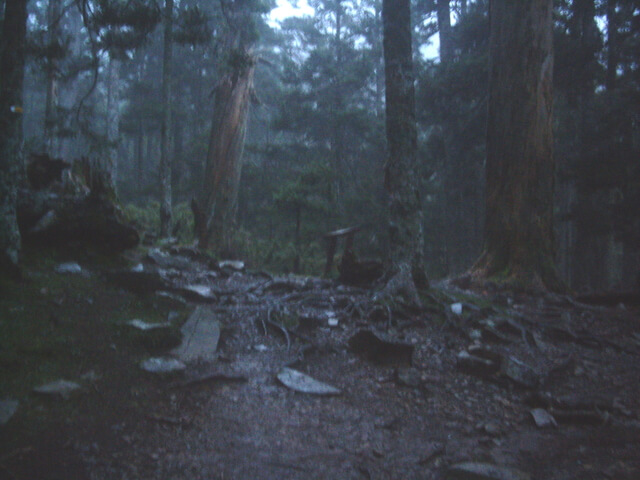 IMGP9886.JPG - 台中和平雪山主東(DAY2－雪山主峰)