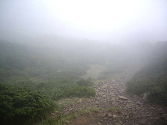 IMGP9910.JPG - 台中和平雪山主東(DAY2－雪山主峰)