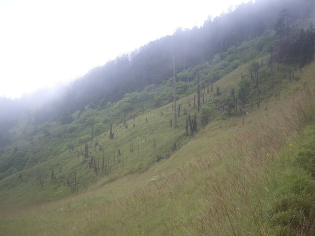 IMGP9917.JPG - 台中和平雪山主東(DAY2－雪山主峰)