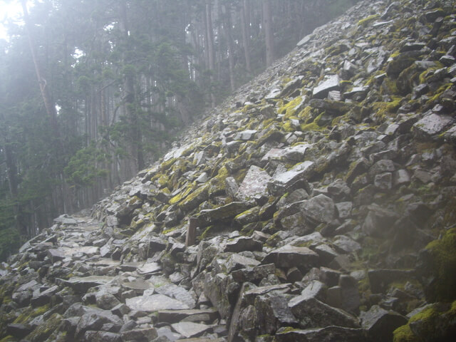 IMGP9913.JPG - 台中和平雪山主東(DAY2－雪山主峰)