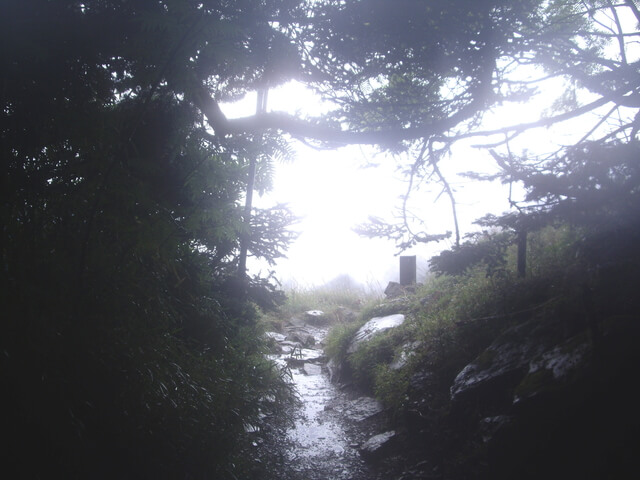 IMGP9914.JPG - 台中和平雪山主東(DAY2－雪山主峰)