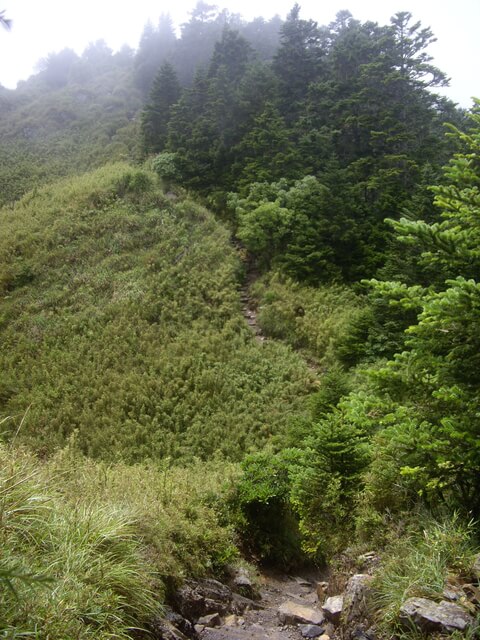 IMGP9847.JPG - 台中和平雪山主東(DAY1－雪山東峰)