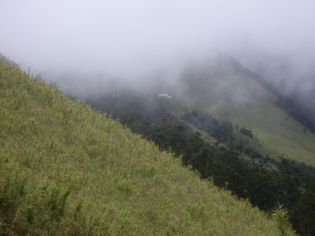 IMGP9856.JPG - 台中和平雪山主東(DAY1－雪山東峰)