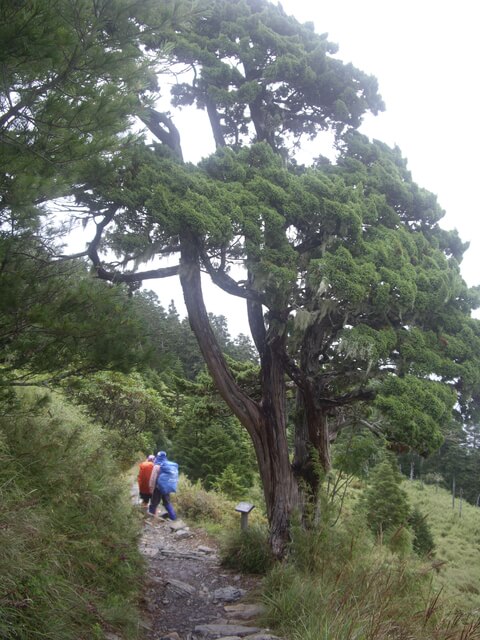 IMGP9870.JPG - 台中和平雪山主東(DAY1－雪山東峰)