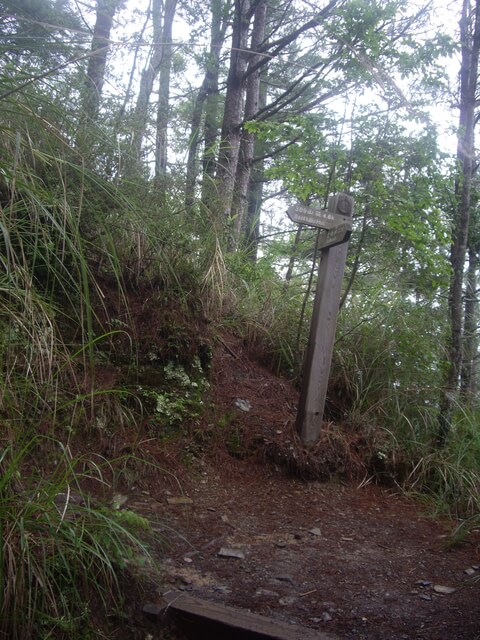 IMGP9814.JPG - 台中和平雪山主東(DAY1－雪山東峰)