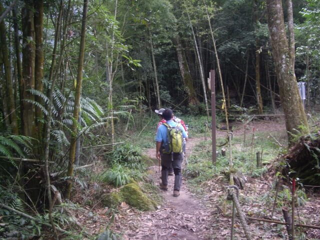 IMGP9685.JPG - 南投魚池水社大山登山步道、卜吉山、水社大山