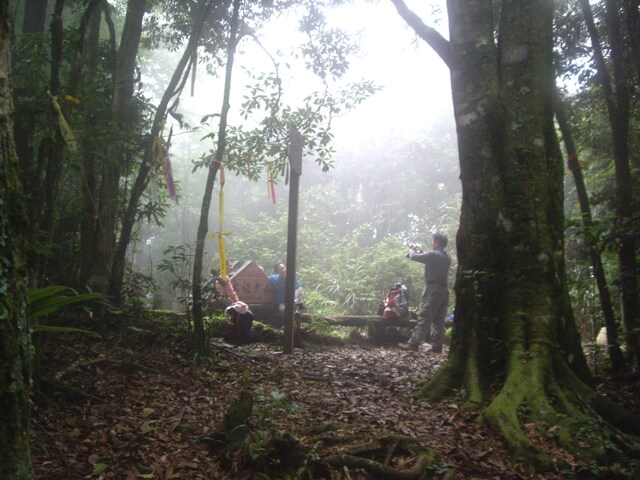 IMGP9715.JPG - 南投魚池水社大山登山步道、卜吉山、水社大山