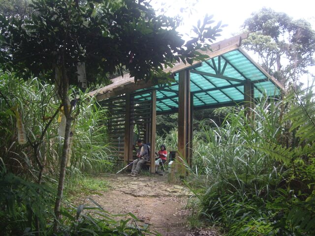 IMGP9699.JPG - 南投魚池水社大山登山步道、卜吉山、水社大山