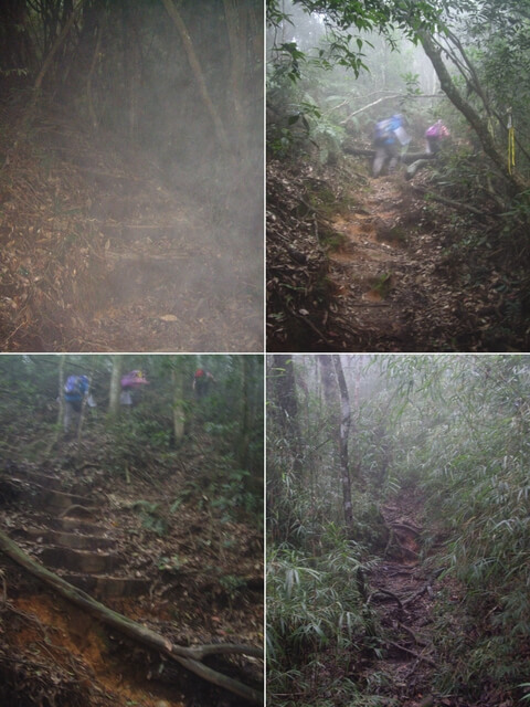 IMGP9711-14.JPG - 南投魚池水社大山登山步道、卜吉山、水社大山