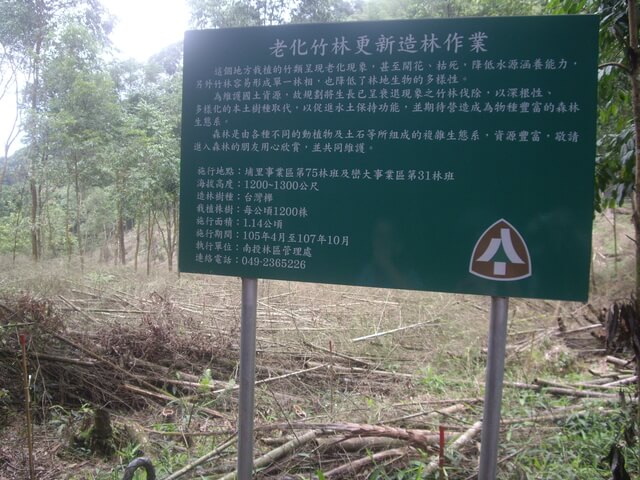 IMGP9686.JPG - 南投魚池水社大山登山步道、卜吉山、水社大山