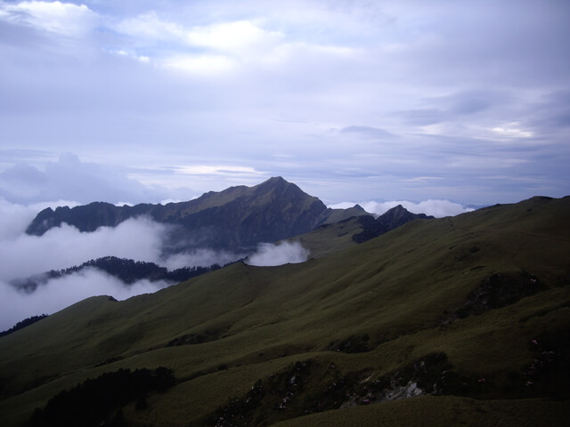 IMGP9519.JPG - 【花蓮秀林】奇萊主北(DAY2－奇萊北峰、奇萊主山、成功山屋 & DAY3－回登山口)