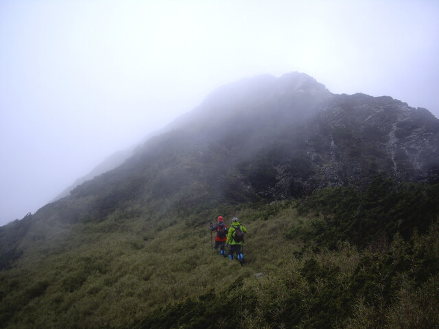 IMGP9555.JPG - 【花蓮秀林】奇萊主北(DAY2－奇萊北峰、奇萊主山、成功山屋 & DAY3－回登山口)