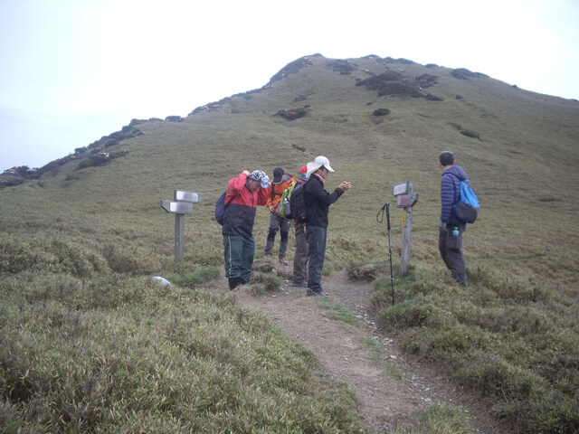 IMGP9517.JPG - 【花蓮秀林】奇萊主北(DAY2－奇萊北峰、奇萊主山、成功山屋 & DAY3－回登山口)