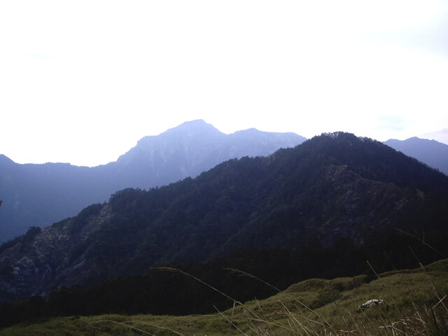 IMGP9412.JPG - 【花蓮秀林】奇萊主北(DAY1－奇萊山步道、奇萊山屋)