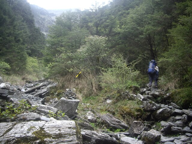 IMGP9458.JPG - 【花蓮秀林】奇萊主北(DAY1－奇萊山步道、奇萊山屋)