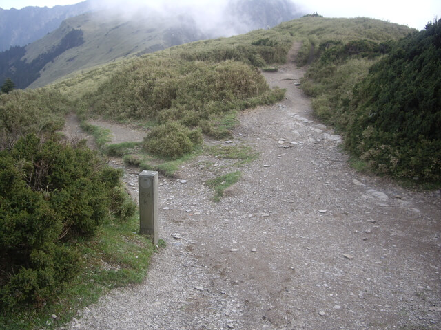 IMGP9506.JPG - 【花蓮秀林】奇萊主北(DAY1－奇萊山步道、奇萊山屋)