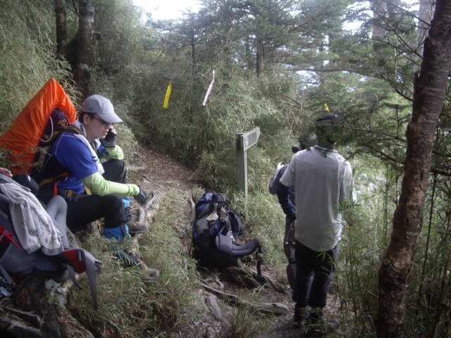 IMGP9471.JPG - 【花蓮秀林】奇萊主北(DAY1－奇萊山步道、奇萊山屋)