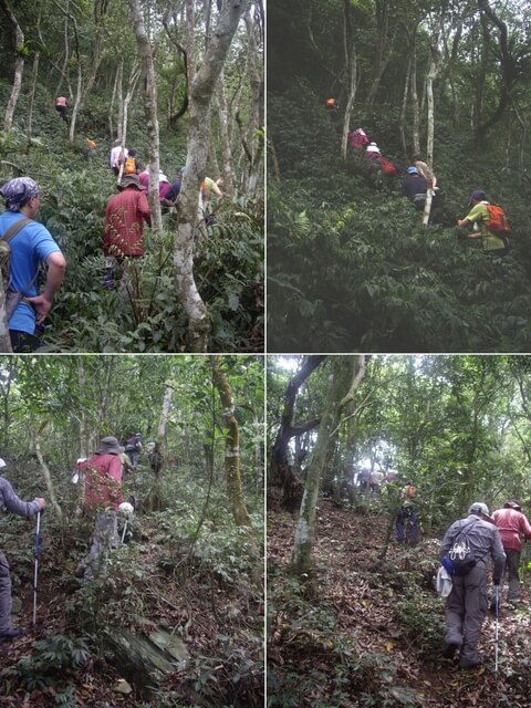 IMGP9235-38.JPG - 高雄六龜鳳崗林道進六龜警備道出茂林(DAY1)