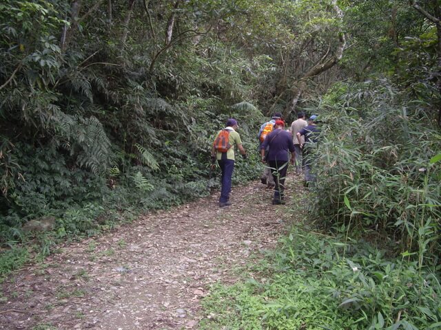 IMGP9230.JPG - 高雄六龜鳳崗林道進六龜警備道出茂林(DAY1)