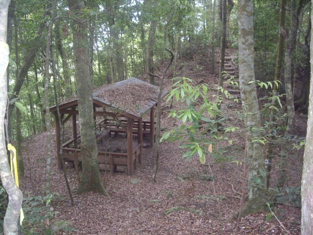 IMGP9216.JPG - 台中和平十文溪山、屋我尾山(麗陽線)