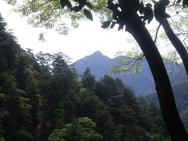 IMGP9180.JPG - 台中和平十文溪山、屋我尾山(麗陽線)