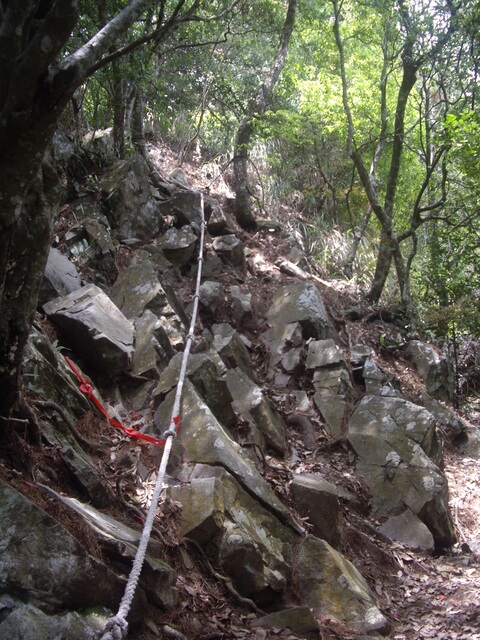 IMGP9195.JPG - 台中和平十文溪山、屋我尾山(麗陽線)