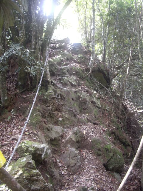 IMGP9206.JPG - 台中和平十文溪山、屋我尾山(麗陽線)