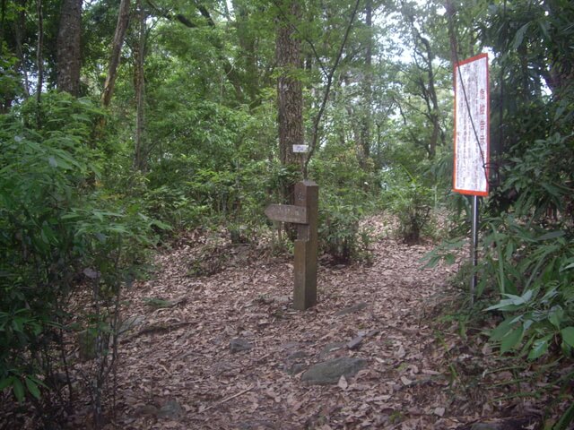 IMGP9224.JPG - 台中和平十文溪山、屋我尾山(麗陽線)