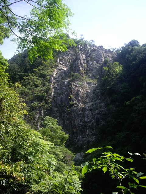 IMGP9163.JPG - 台中和平十文溪山、屋我尾山(麗陽線)