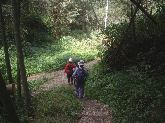 IMGP9060.JPG - 嘉義竹崎奮瑞古道(南段)、糕仔崁古道