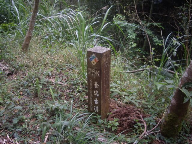 IMGP9071.JPG - 嘉義竹崎奮瑞古道(南段)、糕仔崁古道