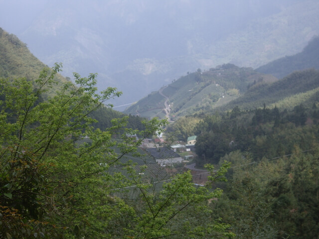 IMGP9064.JPG - 嘉義竹崎奮瑞古道(南段)、糕仔崁古道