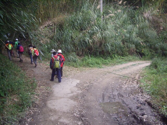 IMGP9077.JPG - 嘉義竹崎奮瑞古道(南段)、糕仔崁古道