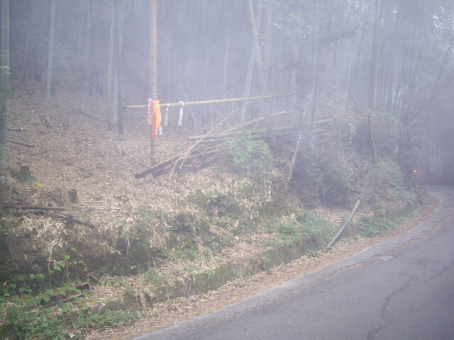 IMGP8907.JPG - 南投鹿谷樟空崙山、貓冬望山、大崙頭山、銀杏森林(羊彎上、下大石公)