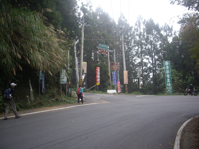 IMGP8904.JPG - 南投鹿谷樟空崙山、貓冬望山、大崙頭山、銀杏森林(羊彎上、下大石公)