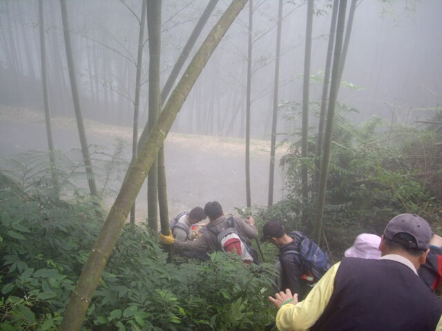 IMGP8930.JPG - 南投鹿谷樟空崙山、貓冬望山、大崙頭山、銀杏森林(羊彎上、下大石公)