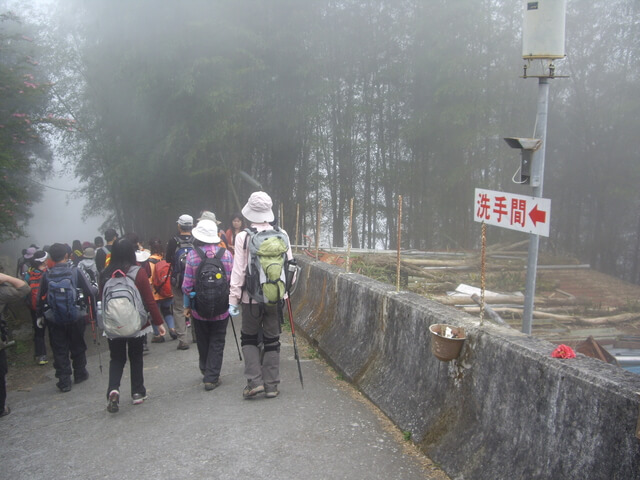 IMGP8923.JPG - 南投鹿谷樟空崙山、貓冬望山、大崙頭山、銀杏森林(羊彎上、下大石公)